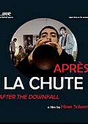 Обложка (Постер) После падения / Après la chute (2009) HDRip Обложка (Постер) После падения / Après la chute (2009) HDRip
