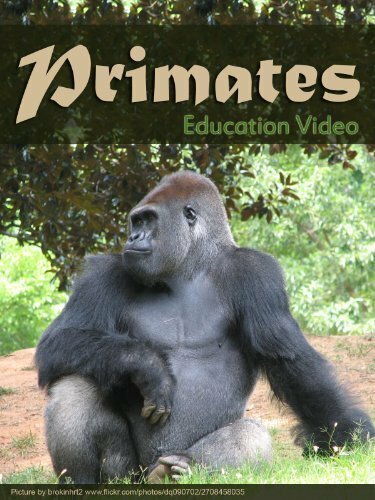Обложка (Постер) Primats (1997) HDRip Обложка (Постер) Primats (1997) HDRip