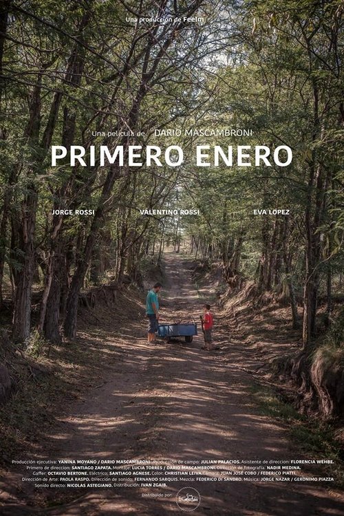 Обложка (Постер) Primero enero (2016) CAMRip Обложка (Постер) Primero enero (2016) CAMRip