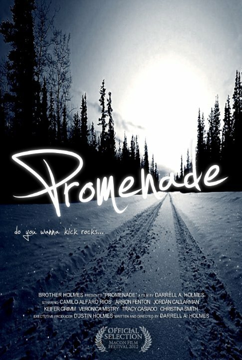 Обложка (Постер) Прогулка / Promenade (2010) 