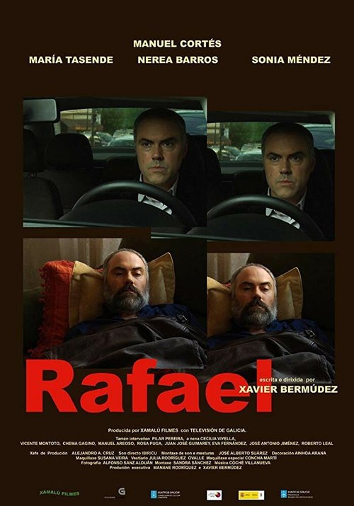 Обложка (Постер) Рафаэль / Rafael (2008) Обложка (Постер) Рафаэль / Rafael (2008)