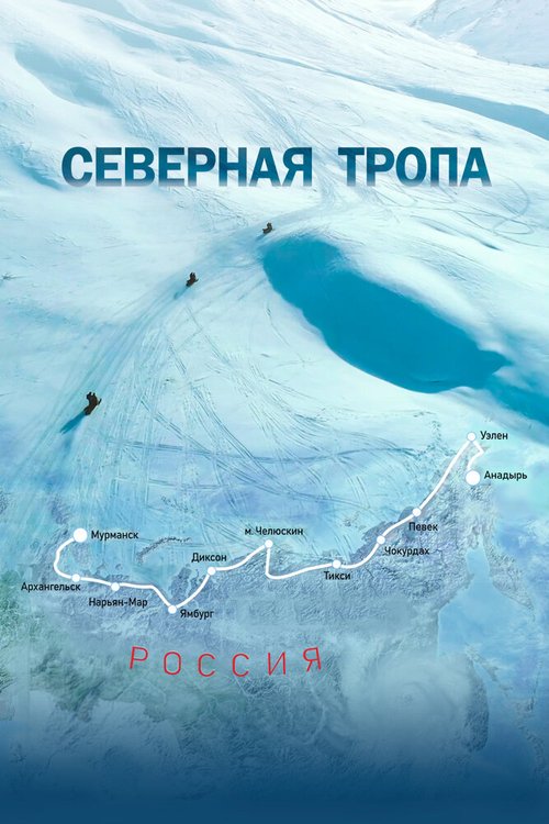 Обложка (Постер) Северная тропа / Arctic Expedition: Northern Trail (2020) 