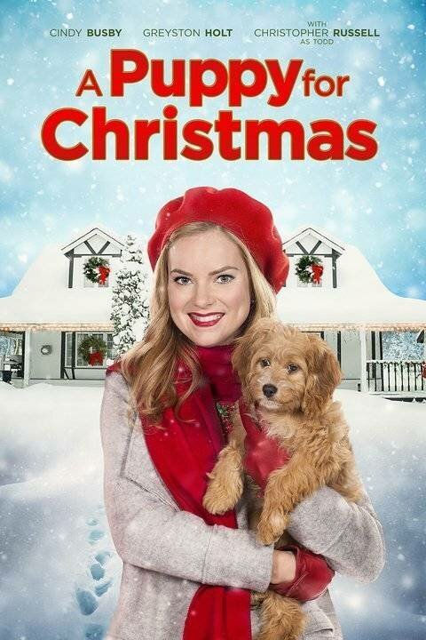 Обложка (Постер) Щенок на Рождество / A Puppy for Christmas (2016) Обложка (Постер) Щенок на Рождество / A Puppy for Christmas (2016)