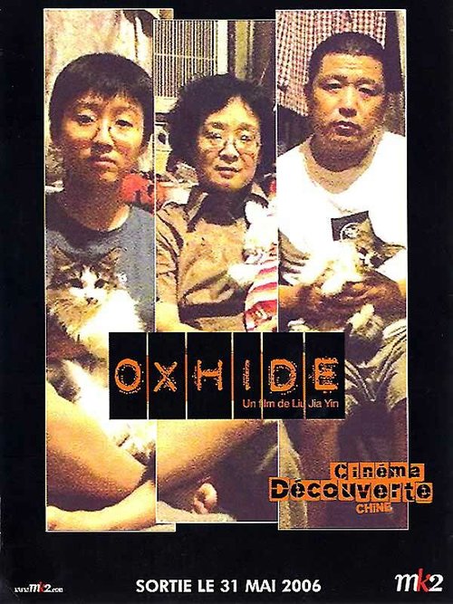 Обложка (Постер) Шкура быка / Niu pi (2005) HDRip Обложка (Постер) Шкура быка / Niu pi (2005) HDRip