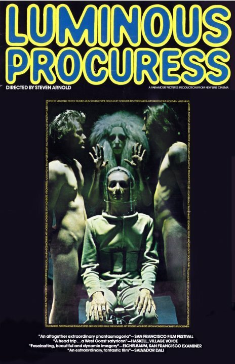 Обложка (Постер) Светящаяся сводница / Luminous Procuress (1971) SATRip