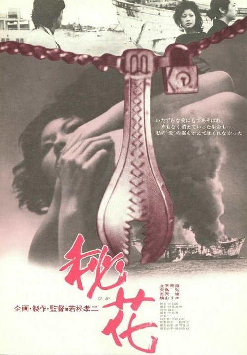 Обложка (Постер) Тайный цветок / Hika (1971) SATRip Обложка (Постер) Тайный цветок / Hika (1971) SATRip