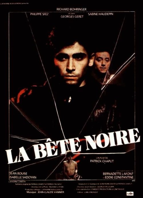 Обложка (Постер) Темная лошадка / La bête noire (1983) SATRip Обложка (Постер) Темная лошадка / La bête noire (1983) SATRip
