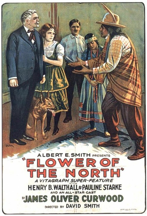Обложка (Постер) The Flower of the North (1921) Обложка (Постер) The Flower of the North (1921)
