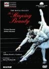 Обложка (Постер) The Sleeping Beauty (1995) HDRip
