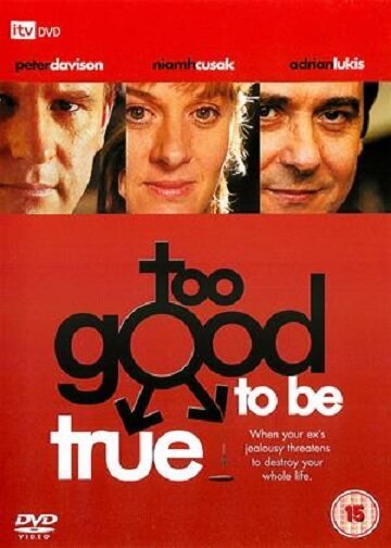 Обложка (Постер) Too Good to Be True (2003) HDRip