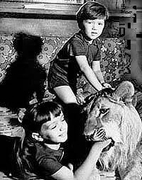 Обложка (Постер) У меня есть лев (1975) SATRip Обложка (Постер) У меня есть лев (1975) SATRip