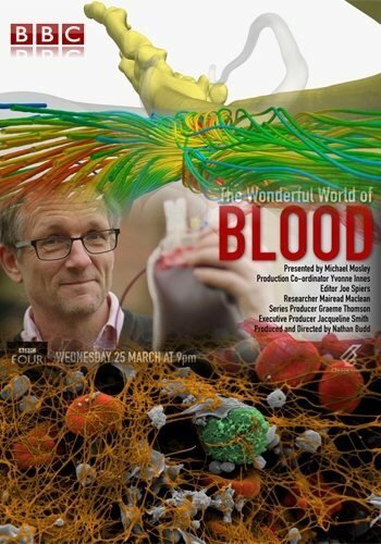 Обложка (Постер) Удивительный мир крови / The Wonderful World of Blood with Michael Mosley (2015) HDRip Обложка (Постер) Удивительный мир крови / The Wonderful World of Blood with Michael Mosley (2015) HDRip