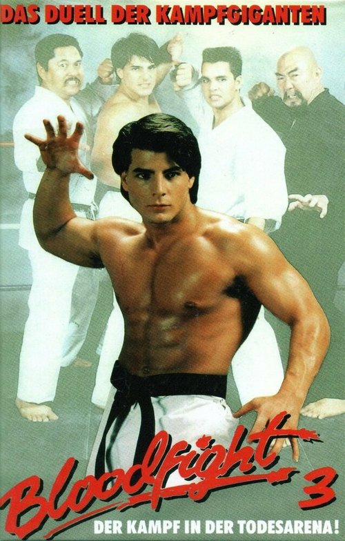 Обложка (Постер) Войны карате / Karate Wars (1991) HDRip