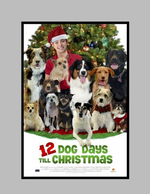 Обложка (Постер) 12 Dog Days of Christmas (2014) HDRip