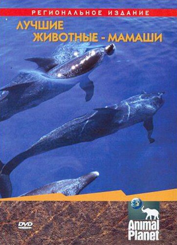 Обложка (Постер) Animal Planet. Лучшие животные-мамаши / Ultimate Animals Moms (2004) HDRip Обложка (Постер) Animal Planet. Лучшие животные-мамаши / Ultimate Animals Moms (2004) HDRip