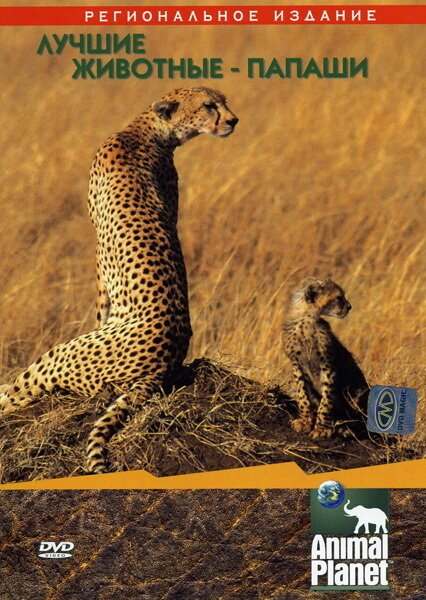 Обложка (Постер) Animal Planet: Лучшие животные-папаши / Ultimate Animals Dads (2004) HDRip Обложка (Постер) Animal Planet: Лучшие животные-папаши / Ultimate Animals Dads (2004) HDRip
