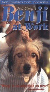 Обложка (Постер) Бенджи в действии / Benji at Work (1980) SATRip Обложка (Постер) Бенджи в действии / Benji at Work (1980) SATRip