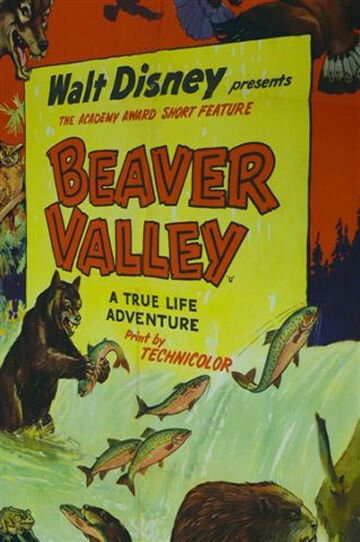 Обложка (Постер) Бивер Вэлей / Beaver Valley (1950) SATRip
