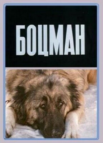 Обложка (Постер) Боцман (1975) 