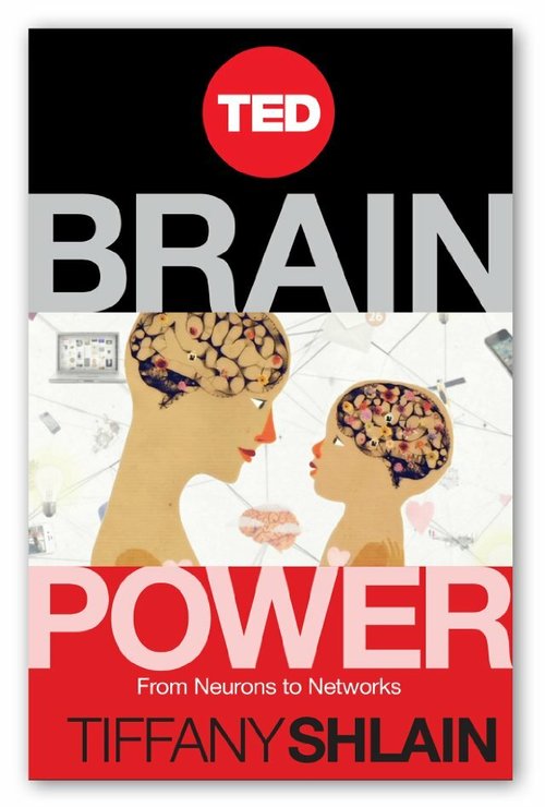 Обложка (Постер) Brain Power: From Neurons to Networks (2012) Обложка (Постер) Brain Power: From Neurons to Networks (2012)
