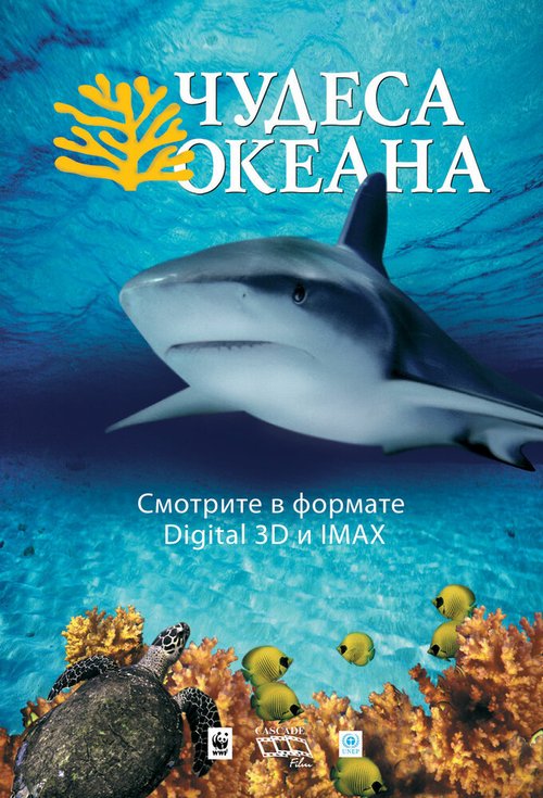 Обложка Чудеса океана 3D / Ocean Wonderland (2003) 