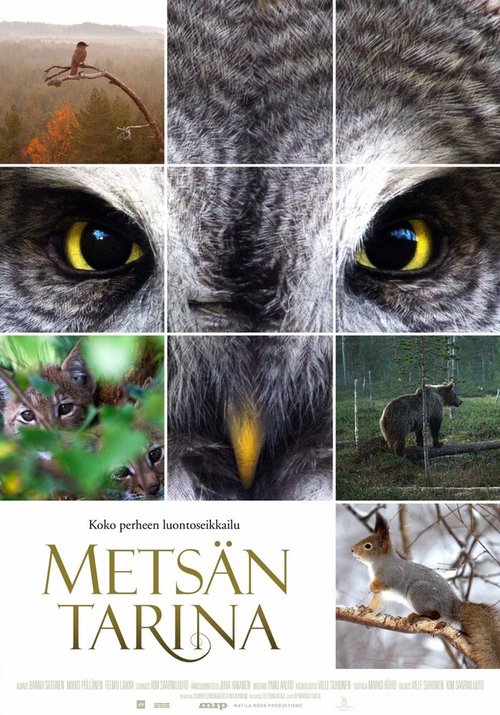 Обложка (Постер) Чудесный лес / Metsän tarina (2012) HDRip Обложка (Постер) Чудесный лес / Metsän tarina (2012) HDRip