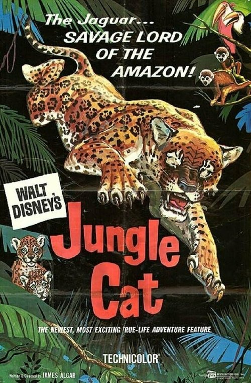 Обложка (Постер) Дикая кошка джунглей / Jungle Cat (1959) SATRip
