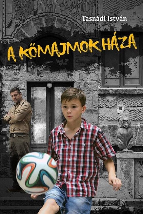 Обложка (Постер) Дом каменных обезьян / A kõmajmok háza (2014) HDRip