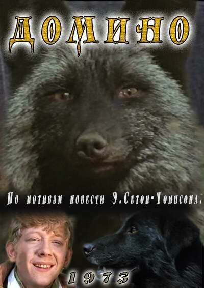 Обложка Домино (1973) 