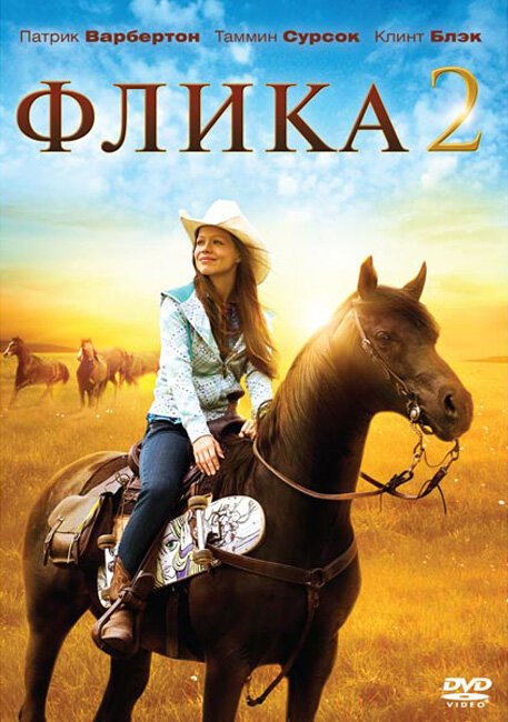 Обложка (Постер) Флика 2 / Flicka 2 (2010) HDRip