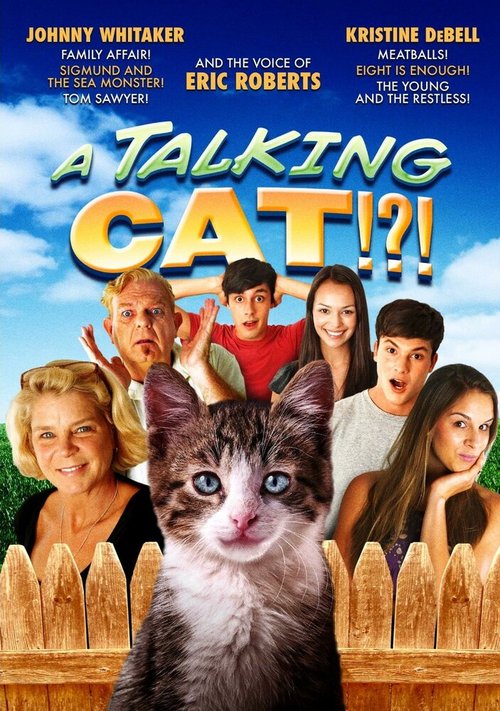Обложка (Постер) Говорящий кот!?! / A Talking Cat!?! (2013) HDRip Обложка (Постер) Говорящий кот!?! / A Talking Cat!?! (2013) HDRip