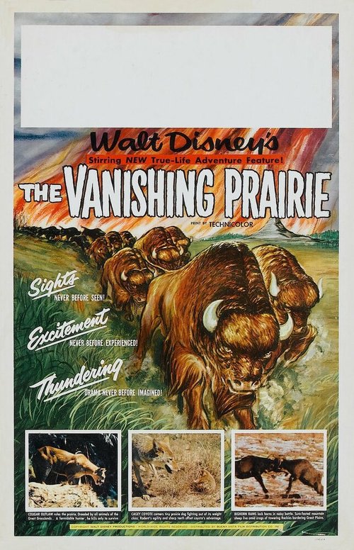 Обложка (Постер) Исчезающая прерия / The Vanishing Prairie (1954) SATRip