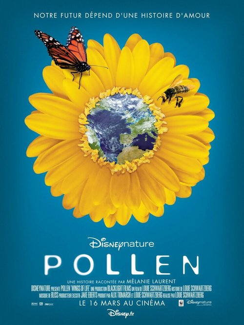 Обложка (Постер) Крылья жизни: Скрытая красота / Pollen (2011) HDRip Обложка (Постер) Крылья жизни: Скрытая красота / Pollen (2011) HDRip