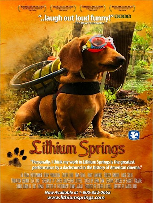 Обложка (Постер) Lithium Springs (2004) HDRip Обложка (Постер) Lithium Springs (2004) HDRip