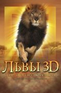 Обложка (Постер) Львы 3D / Roar: Lions of the Kalahari (2005) HDRip Обложка (Постер) Львы 3D / Roar: Lions of the Kalahari (2005) HDRip