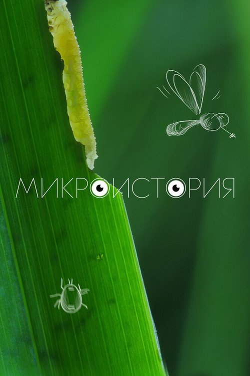 Обложка (Постер) Микроистория (2017) Обложка (Постер) Микроистория (2017)
