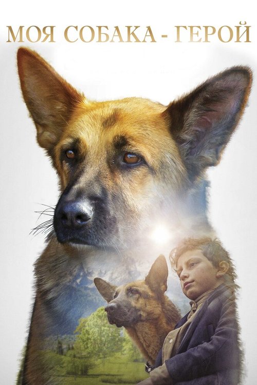 Обложка (Постер) Моя собака — герой / Shepherd: The Story of a Jewish Dog (2018) HDRip Обложка (Постер) Моя собака — герой / Shepherd: The Story of a Jewish Dog (2018) HDRip