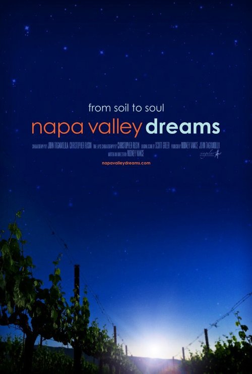 Обложка (Постер) Napa Valley Dreams (2013) HDRip Обложка (Постер) Napa Valley Dreams (2013) HDRip