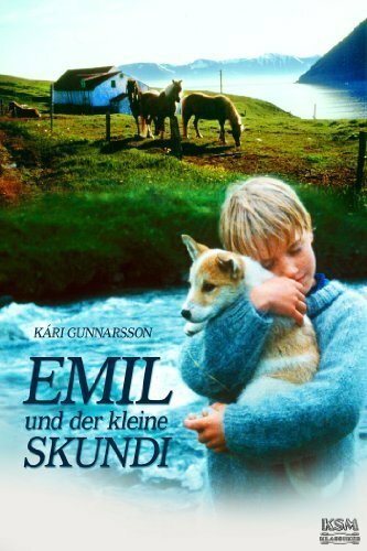 Обложка (Постер) Небесный дворец / Skýjahöllin (1994) HDRip Обложка (Постер) Небесный дворец / Skýjahöllin (1994) HDRip