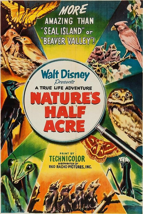 Обложка (Постер) Пол-акра природы / Nature's Half Acre (1951) SATRip