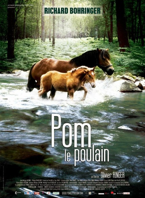 Обложка (Постер) Pom, le poulain (2006) HDRip Обложка (Постер) Pom, le poulain (2006) HDRip