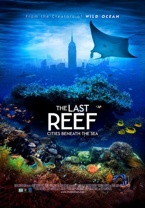 Обложка (Постер) Последний риф 3D / The Last Reef 3D (2012) HDRip Обложка (Постер) Последний риф 3D / The Last Reef 3D (2012) HDRip