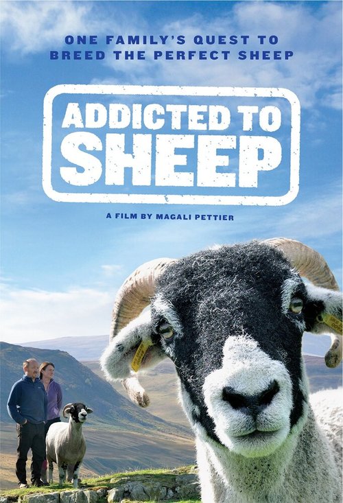 Обложка (Постер) Повёрнутые на овцах / Addicted to Sheep (2015) HDRip Обложка (Постер) Повёрнутые на овцах / Addicted to Sheep (2015) HDRip