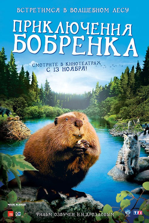 Обложка (Постер) Приключения бобрёнка / Mèche Blanche, les aventures du petit castor (2007) HDRip Обложка (Постер) Приключения бобрёнка / Mèche Blanche, les aventures du petit castor (2007) HDRip