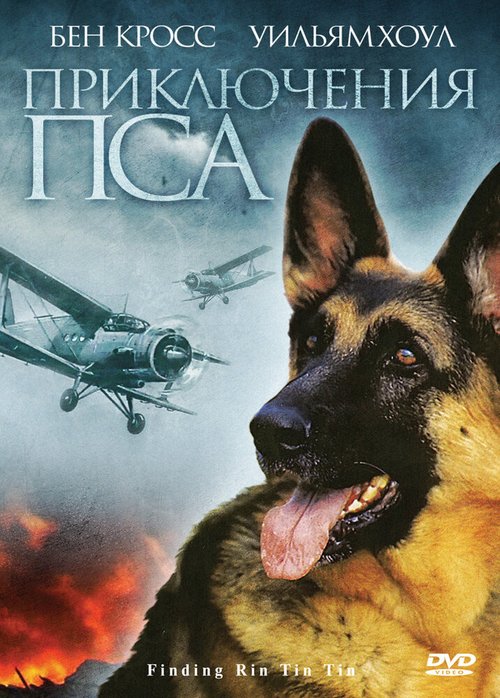 Обложка (Постер) Приключения пса / Finding Rin Tin Tin (2007) HDRip Обложка (Постер) Приключения пса / Finding Rin Tin Tin (2007) HDRip