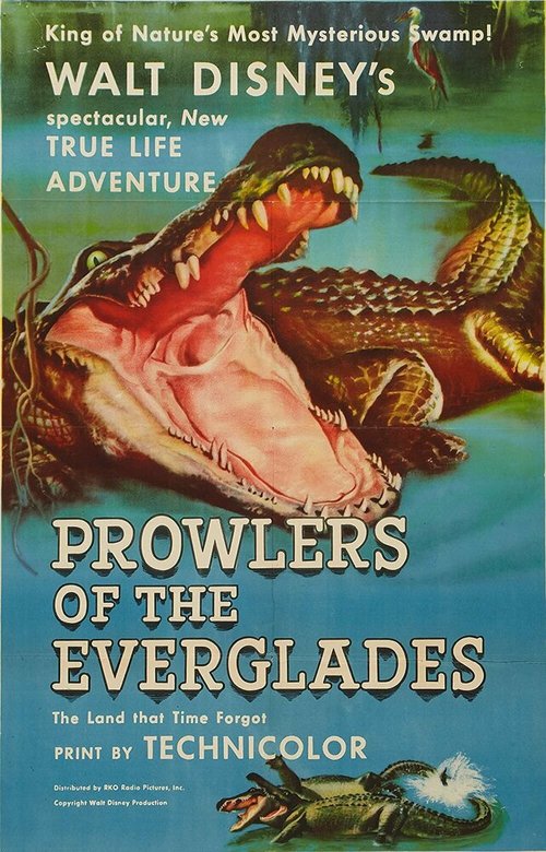 Обложка (Постер) Prowlers of the Everglades (1953) SATRip