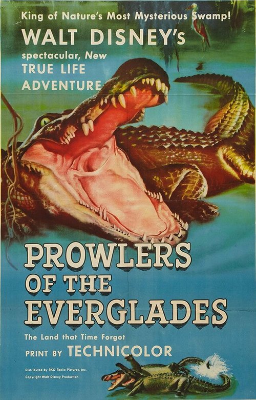 Обложка (Постер) Prowlers of the Everglades (1953) SATRip Обложка (Постер) Prowlers of the Everglades (1953) SATRip