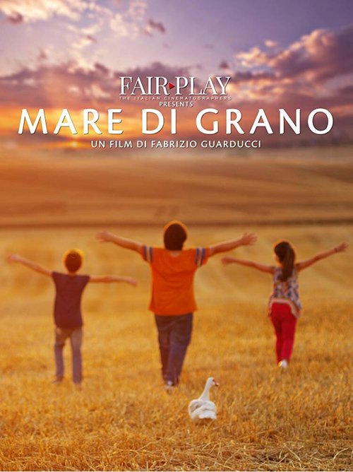 Обложка (Постер) Пшеничное море / Mare di grano (2018) HDRip Обложка (Постер) Пшеничное море / Mare di grano (2018) HDRip