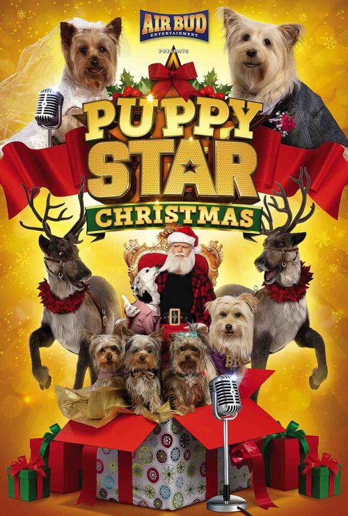 Обложка (Постер) Рождество звёздного щенка / Puppy Star Christmas (2018) HDRip Обложка (Постер) Рождество звёздного щенка / Puppy Star Christmas (2018) HDRip