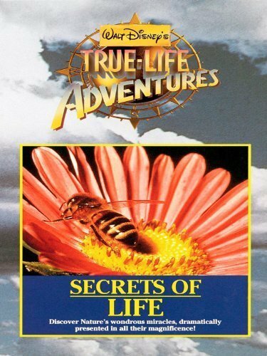Обложка (Постер) Секреты жизни / Secrets of Life (1956) SATRip Обложка (Постер) Секреты жизни / Secrets of Life (1956) SATRip